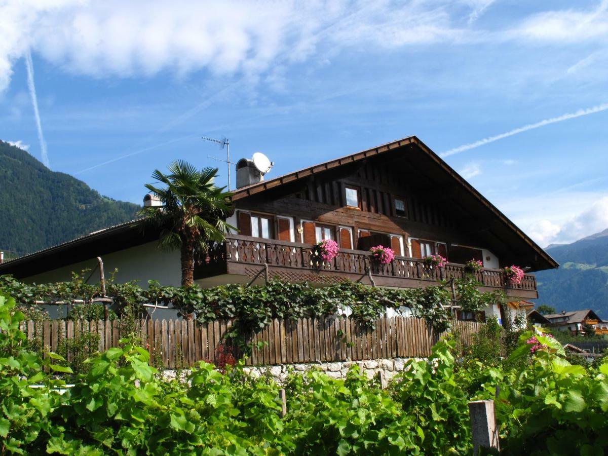Lenzenau 2* Tirolo